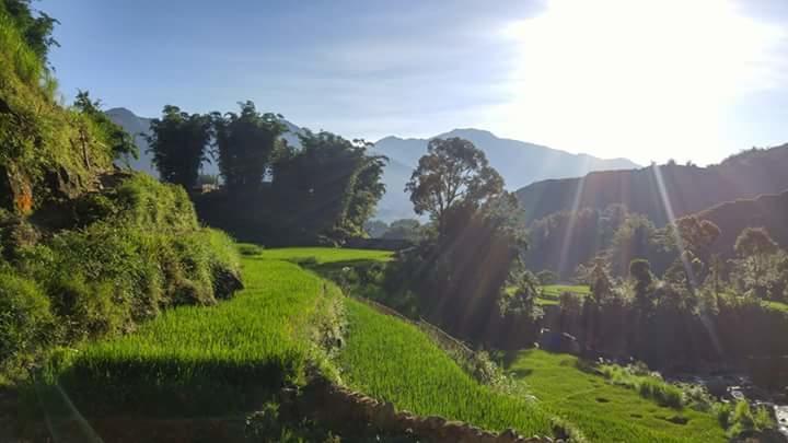 سابا Nguyen Dang Guesthouse المظهر الخارجي الصورة